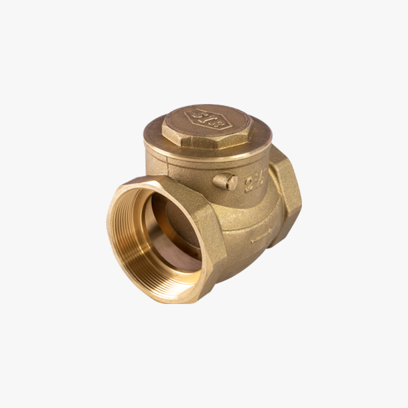 SWING CHECK VALVE