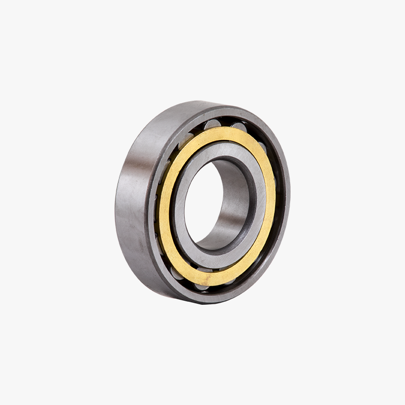 Rodamiento de la tapa frontal NUP309 G-160